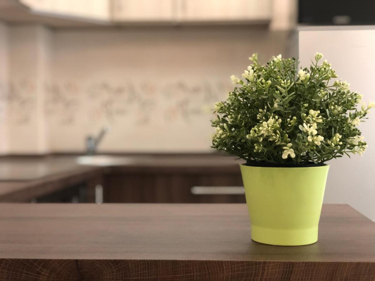 Exclusive Home - D. Apartman 페치 외부 사진
